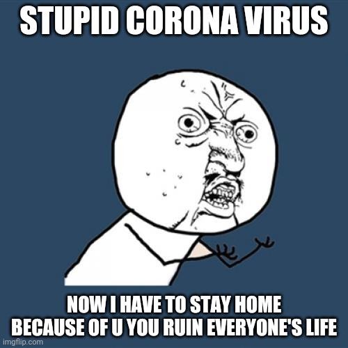 Y U No | STUPID CORONA VIRUS; NOW I HAVE TO STAY HOME BECAUSE OF U YOU RUIN EVERYONE'S LIFE | image tagged in memes,y u no | made w/ Imgflip meme maker