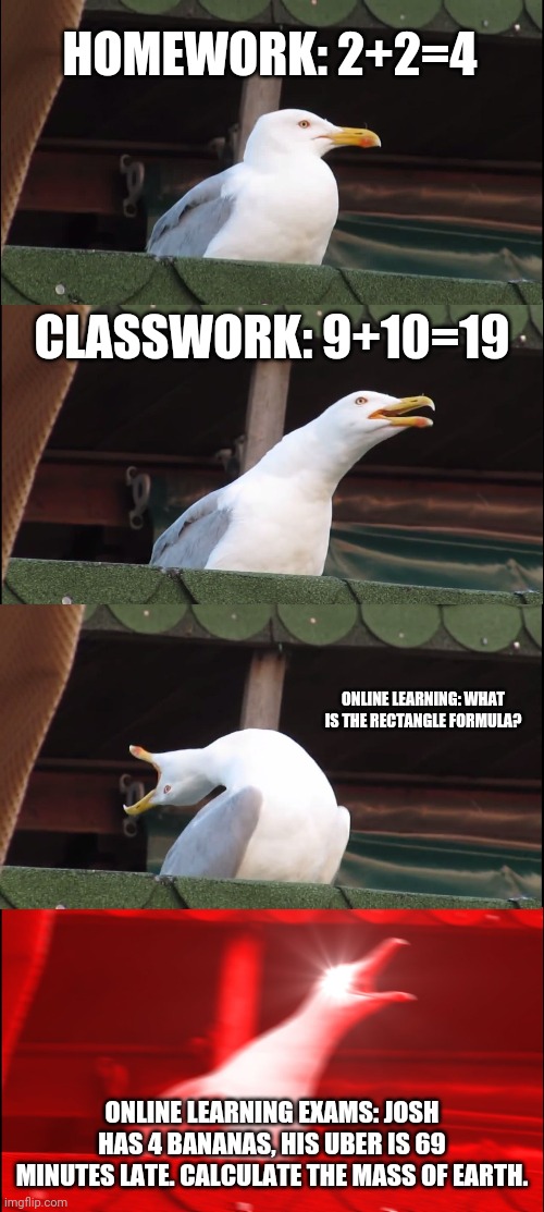 Inhaling Seagull Meme | HOMEWORK: 2+2=4; CLASSWORK: 9+10=19; ONLINE LEARNING: WHAT IS THE RECTANGLE FORMULA? ONLINE LEARNING EXAMS: JOSH HAS 4 BANANAS, HIS UBER IS 69 MINUTES LATE. CALCULATE THE MASS OF EARTH. | image tagged in memes,inhaling seagull | made w/ Imgflip meme maker