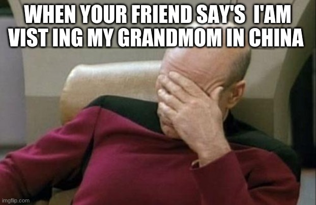 Captain Picard Facepalm | WHEN YOUR FRIEND SAY'S  I'AM VIST ING MY GRANDMOM IN CHINA | image tagged in memes,captain picard facepalm | made w/ Imgflip meme maker