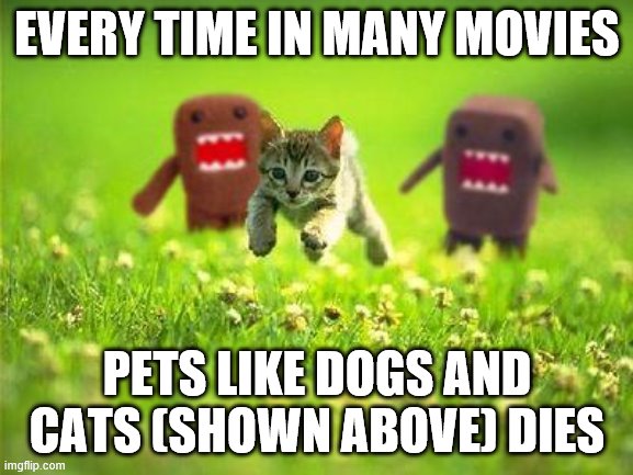 Every time...a cat dies | EVERY TIME IN MANY MOVIES; PETS LIKE DOGS AND CATS (SHOWN ABOVE) DIES | image tagged in every timea cat dies | made w/ Imgflip meme maker
