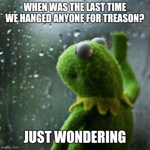 sometimes I wonder  | WHEN WAS THE LAST TIME WE HANGED ANYONE FOR TREASON? JUST WONDERING | image tagged in sometimes i wonder | made w/ Imgflip meme maker