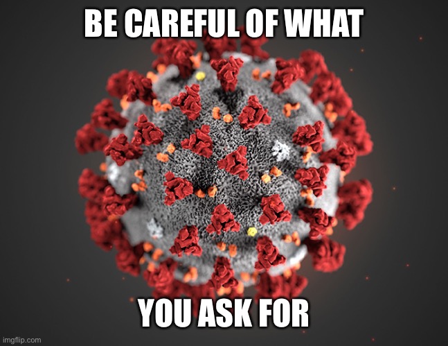 Coronavirus | BE CAREFUL OF WHAT YOU ASK FOR | image tagged in coronavirus | made w/ Imgflip meme maker