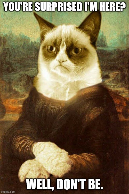 Grumpy Cat Mona Lisa | YOU'RE SURPRISED I'M HERE? WELL, DON'T BE. | image tagged in grumpy cat mona lisa | made w/ Imgflip meme maker