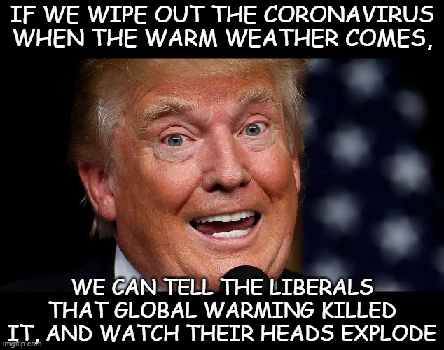 warm weather, smooth sailing | IF WE WIPE OUT THE CORONAVIRUS WHEN THE WARM WEATHER COMES, WE CAN TELL THE LIBERALS THAT GLOBAL WARMING KILLED IT, AND WATCH THEIR HEADS EXPLODE | image tagged in trump,covid 19,heads explode,liberals | made w/ Imgflip meme maker