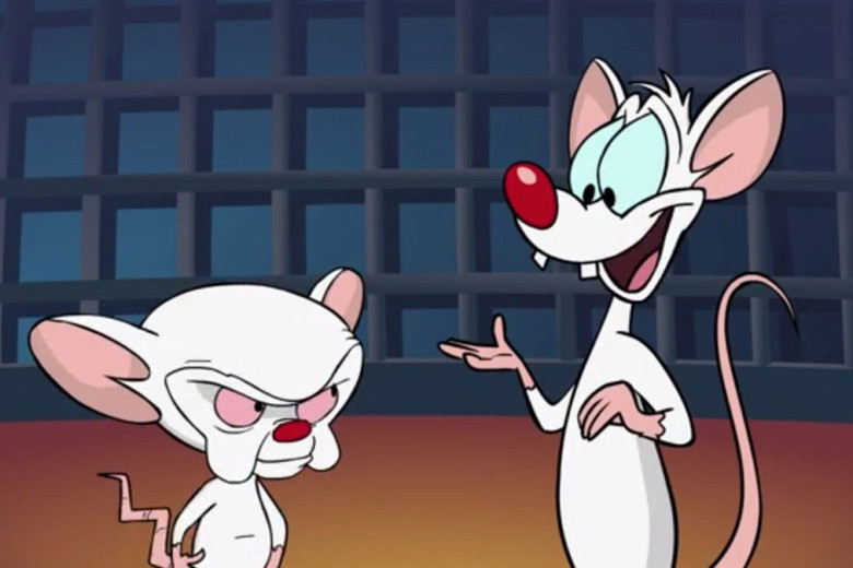 High Quality Pinky and the brain Blank Meme Template