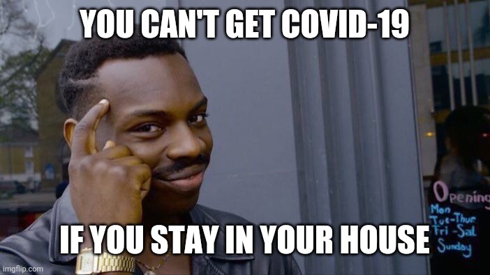 Roll Safe Think About It | YOU CAN'T GET COVID-19; IF YOU STAY IN YOUR HOUSE | image tagged in memes,roll safe think about it | made w/ Imgflip meme maker