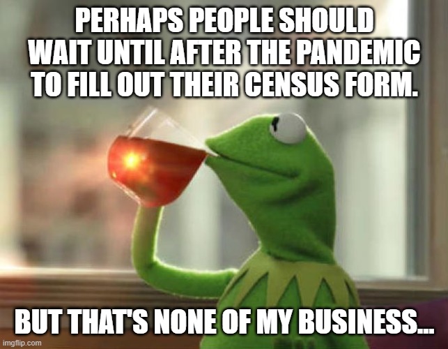 What's on the other side...? | PERHAPS PEOPLE SHOULD WAIT UNTIL AFTER THE PANDEMIC TO FILL OUT THEIR CENSUS FORM. BUT THAT'S NONE OF MY BUSINESS... | image tagged in kermit,coronavirus,census,dark humor | made w/ Imgflip meme maker