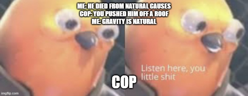 How to big brain a murder | ME: HE DIED FROM NATURAL CAUSES
COP: YOU PUSHED HIM OFF A ROOF
ME: GRAVITY IS NATURAL; COP | image tagged in listen here you little shit bird,yeah this is big brain time,cop | made w/ Imgflip meme maker