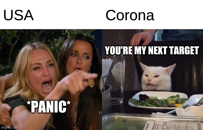 Woman Yelling At Cat | USA; Corona; YOU'RE MY NEXT TARGET; *PANIC* | image tagged in memes,woman yelling at cat | made w/ Imgflip meme maker