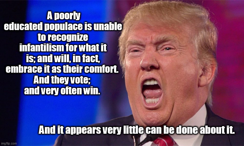 A poorly educated populace is unable to recognize infantilism for what it is; and will, in fact, embrace it as their comfort. 
And they vote; 
and very often win. And it appears very little can be done about it. | image tagged in donald trump,infantile,spoiled brat | made w/ Imgflip meme maker