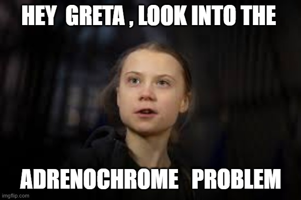  HEY  GRETA , LOOK INTO THE; ADRENOCHROME   PROBLEM | image tagged in adrenochrome,greta thunberg | made w/ Imgflip meme maker