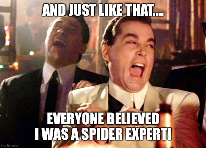 Spider expert | AND JUST LIKE THAT.... EVERYONE BELIEVED I WAS A SPIDER EXPERT! | image tagged in spider | made w/ Imgflip meme maker