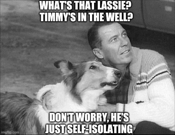 What's that Lassie? | WHAT'S THAT LASSIE?  TIMMY'S IN THE WELL? DON'T WORRY, HE'S JUST SELF-ISOLATING | image tagged in what's that lassie | made w/ Imgflip meme maker