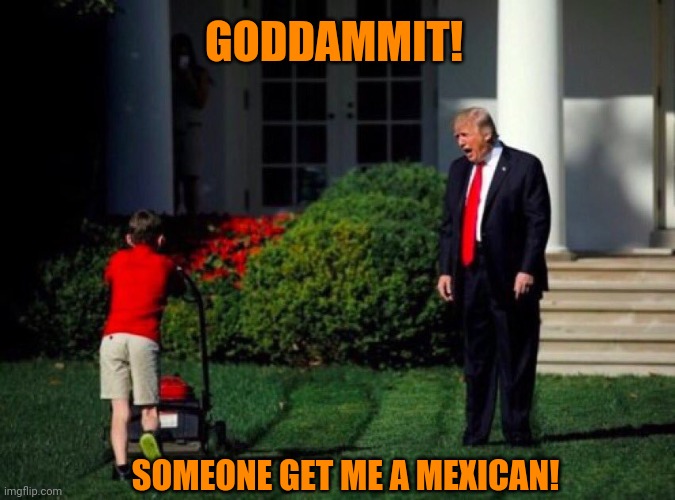 Trump yells at lawnmower kid | GODDAMMIT! SOMEONE GET ME A MEXICAN! | image tagged in trump yells at lawnmower kid | made w/ Imgflip meme maker