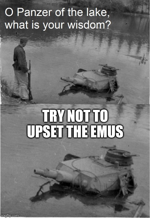 o panzer of the lake | TRY NOT TO UPSET THE EMUS | image tagged in o panzer of the lake,emu,memes | made w/ Imgflip meme maker