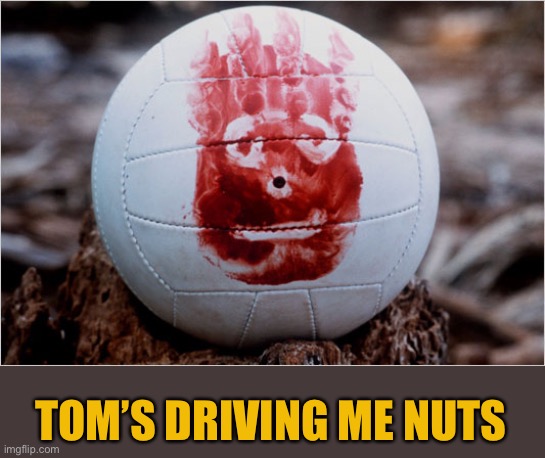 Wilson volleyball Castaway | TOM’S DRIVING ME NUTS | image tagged in wilson volleyball castaway | made w/ Imgflip meme maker