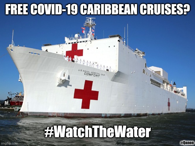 Cruise Ship Memories to Last a Lifetime! #TheStorm #Covid19 #CoronaVirus #FreeCovidVacations | FREE COVID-19 CARIBBEAN CRUISES? #WatchTheWater; #Qanon | image tagged in navy hospital ship comfort,covid19,cruise ship,gitmo,qanon,the great awakening | made w/ Imgflip meme maker