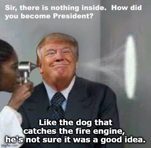 Your troubles start when you get what you want. | Like the dog that catches the fire engine, 
he's not sure it was a good idea. | image tagged in trump,president,donald trump small brain,regret | made w/ Imgflip meme maker