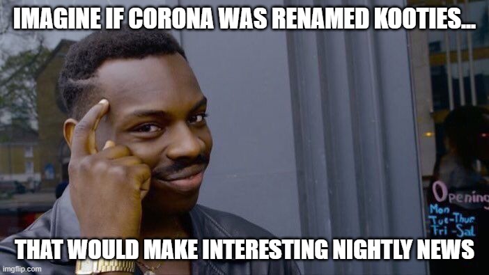 Kooties | IMAGINE IF CORONA WAS RENAMED KOOTIES... THAT WOULD MAKE INTERESTING NIGHTLY NEWS | image tagged in memes,roll safe think about it | made w/ Imgflip meme maker