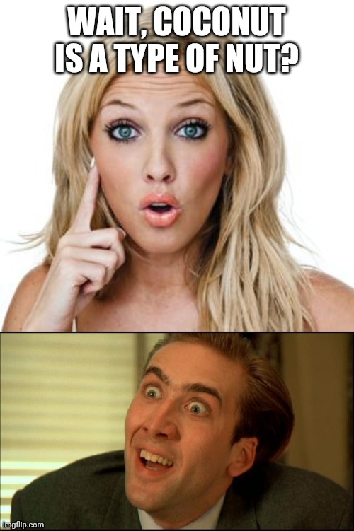WAIT, COCONUT IS A TYPE OF NUT? | image tagged in dumb blonde,you don't say - nicholas cage | made w/ Imgflip meme maker