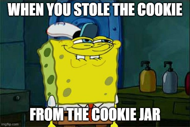 Don't You Squidward Meme | WHEN YOU STOLE THE COOKIE; FROM THE COOKIE JAR | image tagged in memes,dont you squidward | made w/ Imgflip meme maker