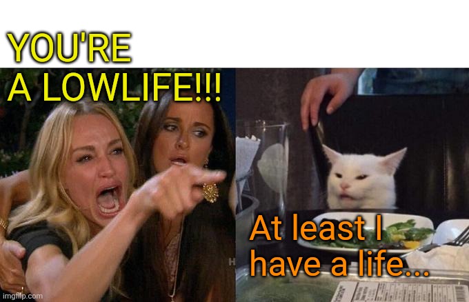 Woman Yelling At Cat | YOU'RE A LOWLIFE!!! At least I have a life... | image tagged in memes,woman yelling at cat | made w/ Imgflip meme maker