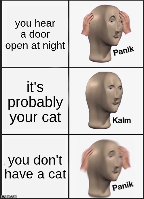 Panik Kalm Panik | you hear a door open at night; it's probably your cat; you don't have a cat | image tagged in memes,panik kalm panik | made w/ Imgflip meme maker