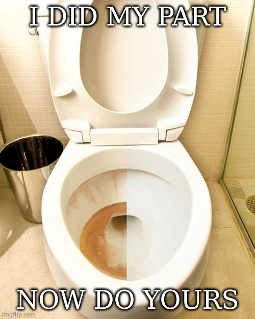 half cleaned toilet | I DID MY PART; NOW DO YOURS | image tagged in half cleaned toilet | made w/ Imgflip meme maker