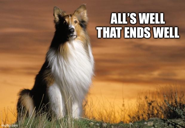 Lassie | ALL’S WELL THAT ENDS WELL | image tagged in lassie | made w/ Imgflip meme maker