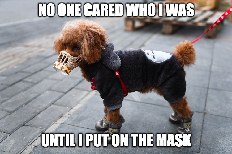 No one cared who I was until I put on the mask | NO ONE CARED WHO I WAS; UNTIL I PUT ON THE MASK | image tagged in bane,bane meme,mask,masks,dog,coronavirus | made w/ Imgflip meme maker