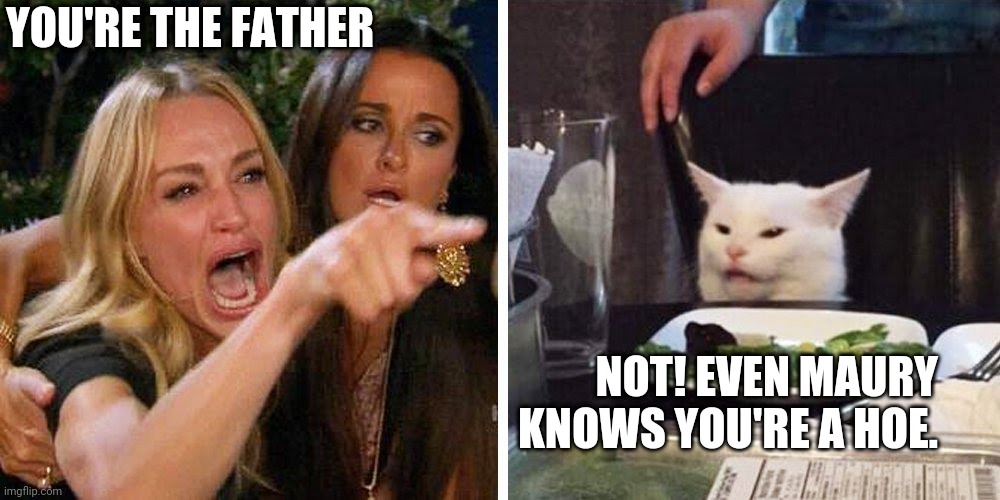 Smudge the cat | YOU'RE THE FATHER; NOT! EVEN MAURY KNOWS YOU'RE A HOE. | image tagged in smudge the cat | made w/ Imgflip meme maker