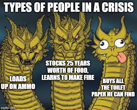 TYPES OF PEOPLE IN A CRISIS; STOCKS 25 YEARS WORTH OF FOOD, LEARNS TO MAKE FIRE; LOADS UP ON AMMO; BUYS ALL THE TOILET PAPER HE CAN FIND | image tagged in coronavirus,corona virus,covid 19 | made w/ Imgflip meme maker
