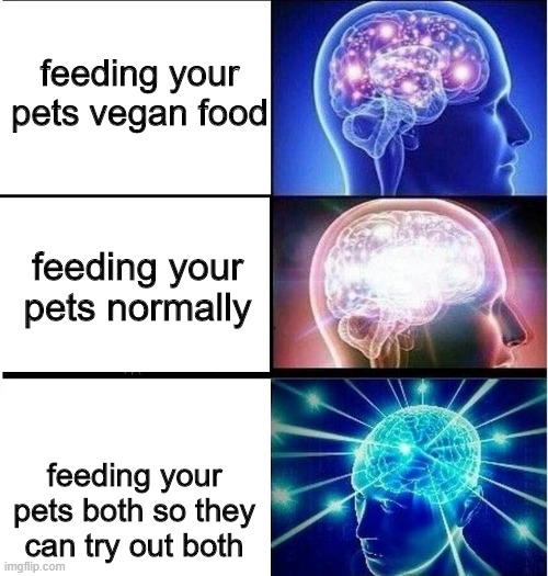 Expanding brain 3 panels | feeding your pets vegan food; feeding your pets normally; feeding your pets both so they can try out both | image tagged in expanding brain 3 panels | made w/ Imgflip meme maker