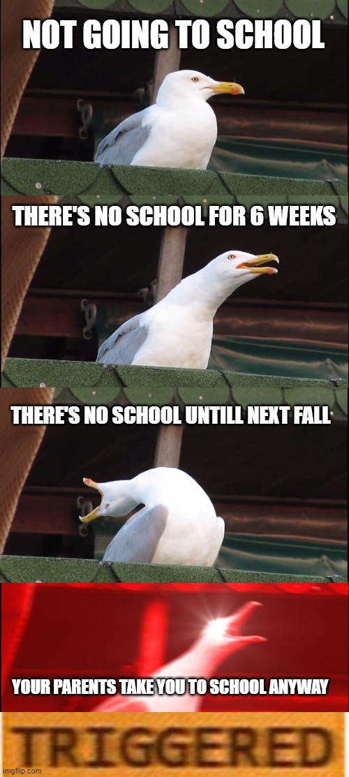 Inhaling Seagull | NOT GOING TO SCHOOL; THERE'S NO SCHOOL FOR 6 WEEKS; THERE'S NO SCHOOL UNTILL NEXT FALL; YOUR PARENTS TAKE YOU TO SCHOOL ANYWAY | image tagged in memes,inhaling seagull | made w/ Imgflip meme maker