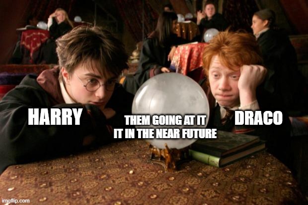 Harry Potter meme | DRACO; HARRY; THEM GOING AT IT IT IN THE NEAR FUTURE | image tagged in harry potter meme | made w/ Imgflip meme maker