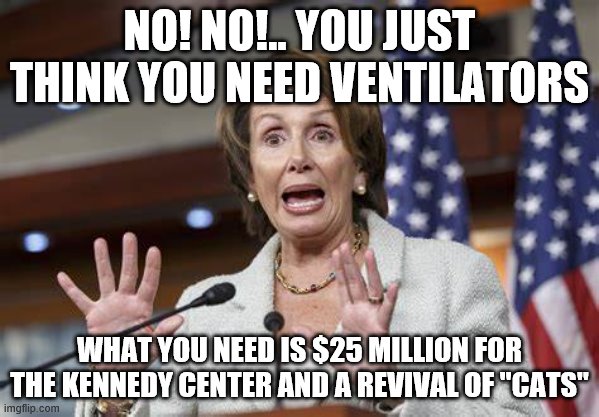 yep | NO! NO!.. YOU JUST THINK YOU NEED VENTILATORS; WHAT YOU NEED IS $25 MILLION FOR THE KENNEDY CENTER AND A REVIVAL OF "CATS" | image tagged in nancy pelosi,democrats,coronavirus | made w/ Imgflip meme maker
