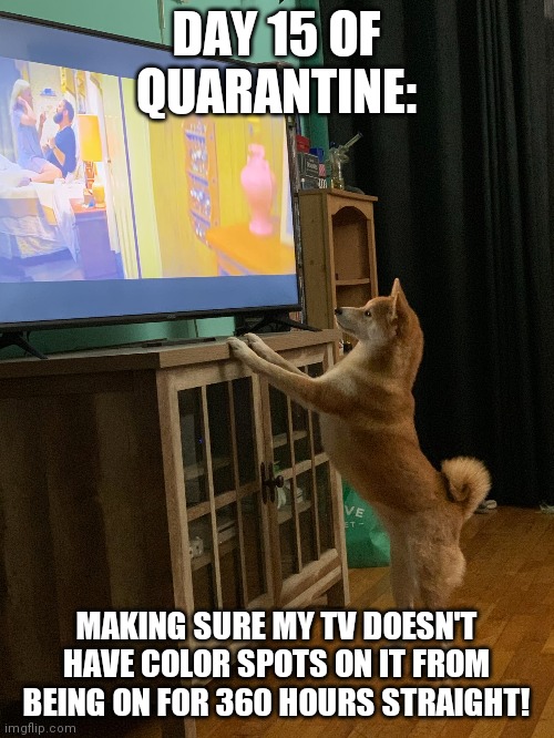 Day 15 of Quarantine | DAY 15 OF QUARANTINE:; MAKING SURE MY TV DOESN'T HAVE COLOR SPOTS ON IT FROM BEING ON FOR 360 HOURS STRAIGHT! | image tagged in quarantine,coronavirus,isolation,covid-19 | made w/ Imgflip meme maker