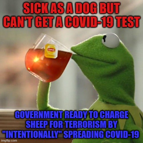 But That's None Of My Business Meme | SICK AS A DOG BUT CAN'T GET A COVID-19 TEST; GOVERNMENT READY TO CHARGE SHEEP FOR TERRORISM BY "INTENTIONALLY" SPREADING COVID-19 | image tagged in memes,but thats none of my business,kermit the frog | made w/ Imgflip meme maker