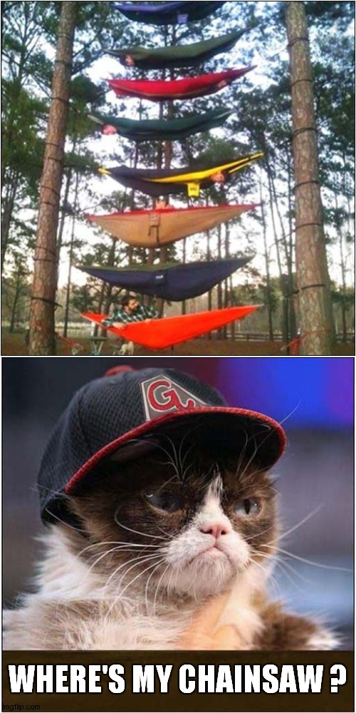 Grumpys Woodland Fun | WHERE'S MY CHAINSAW ? | image tagged in fun,grumpy cat,chainsaw | made w/ Imgflip meme maker