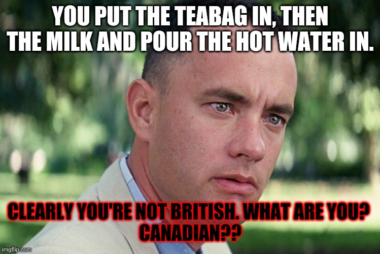 And Just Like That | YOU PUT THE TEABAG IN, THEN THE MILK AND POUR THE HOT WATER IN. CLEARLY YOU'RE NOT BRITISH. WHAT ARE YOU? 
CANADIAN?? | image tagged in memes,and just like that | made w/ Imgflip meme maker