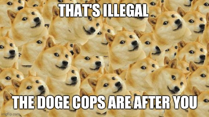 Multi Doge Meme | THAT'S ILLEGAL THE DOGE COPS ARE AFTER YOU | image tagged in memes,multi doge | made w/ Imgflip meme maker