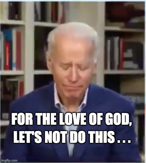 No Joe | FOR THE LOVE OF GOD, LET'S NOT DO THIS . . . | image tagged in neverbiden | made w/ Imgflip meme maker