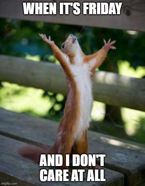 Happy Squirrel | WHEN IT'S FRIDAY; AND I DON'T CARE AT ALL | image tagged in happy squirrel | made w/ Imgflip meme maker