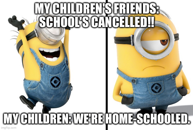 Minion Happy Sad | MY CHILDREN'S FRIENDS: SCHOOL'S CANCELLED!! MY CHILDREN: WE'RE HOME-SCHOOLED. | image tagged in minion happy sad | made w/ Imgflip meme maker