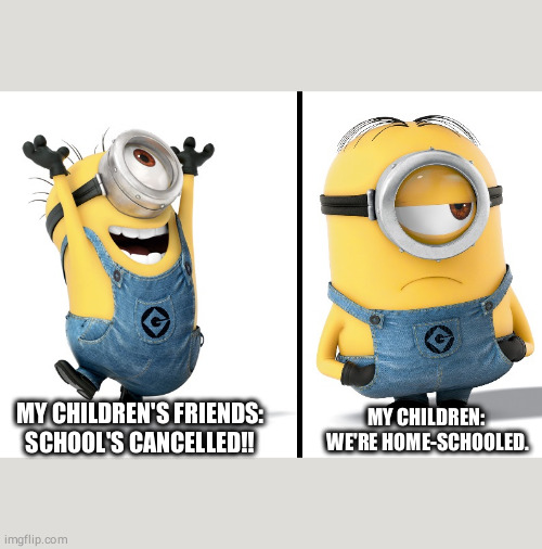 Minion Happy Sad | MY CHILDREN: 
WE'RE HOME-SCHOOLED. MY CHILDREN'S FRIENDS: SCHOOL'S CANCELLED!! | image tagged in minion happy sad | made w/ Imgflip meme maker