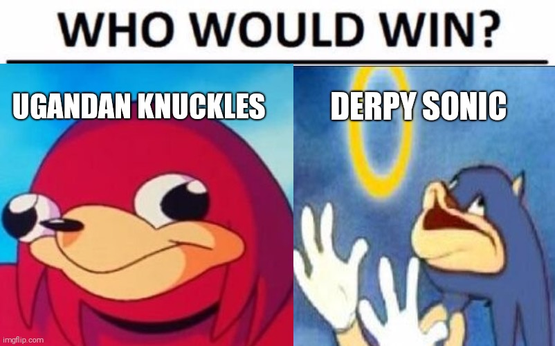 UGANDAN KNUCKLES; DERPY SONIC | image tagged in uganda knuckles,sonic derp,meme,who would win | made w/ Imgflip meme maker