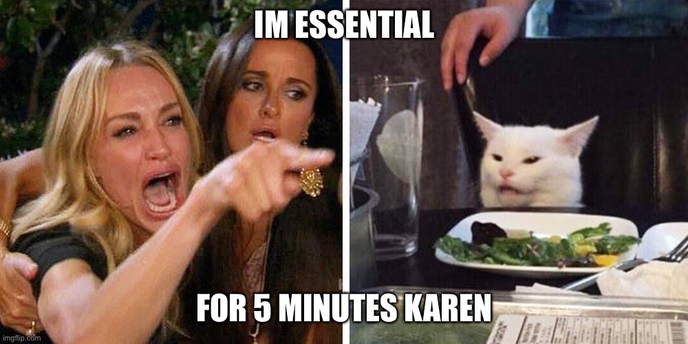 Smudge the cat | IM ESSENTIAL; FOR 5 MINUTES KAREN | image tagged in smudge the cat | made w/ Imgflip meme maker