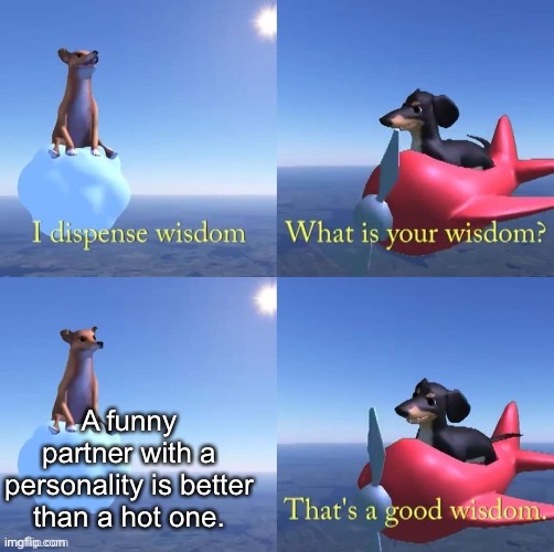 Wisdom dog | A funny partner with a personality is better than a hot one. | image tagged in wisdom dog | made w/ Imgflip meme maker