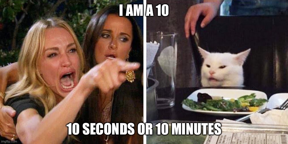 Smudge the cat | I AM A 10; 10 SECONDS OR 10 MINUTES | image tagged in smudge the cat | made w/ Imgflip meme maker