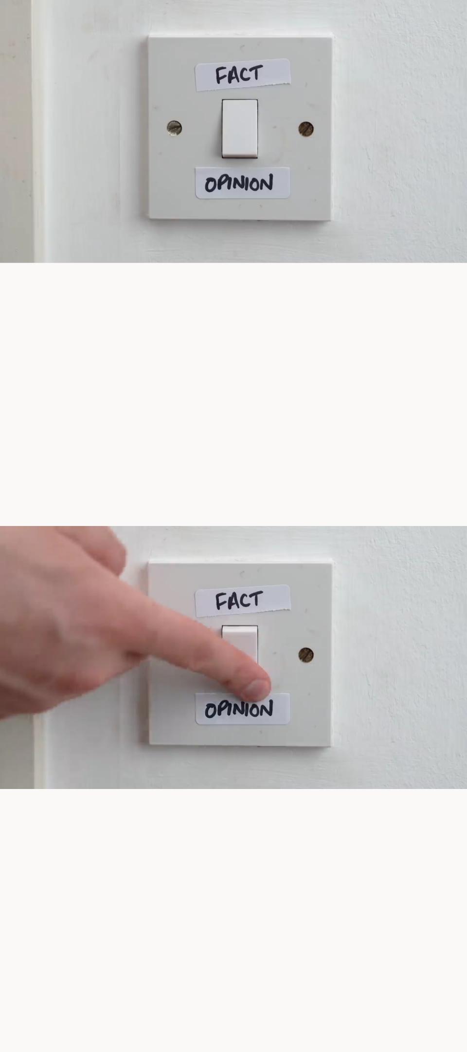 Fact vs Opinion Blank Meme Template